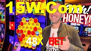 Premium Interface 48X Bet